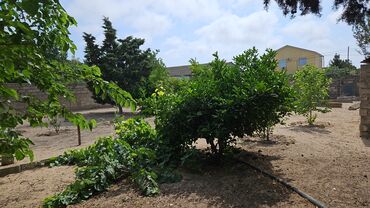 Bağ evlərinin satışı: Bakı, Mərdəkan, 100 kv. m, 5 otaqlı, Hovuzsuz — 4