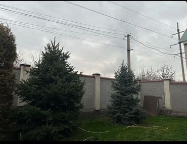 Долгосрочная аренда домов: 200 м², 8 комнат, Бронированные двери, Видеонаблюдение, Евроремонт — 4