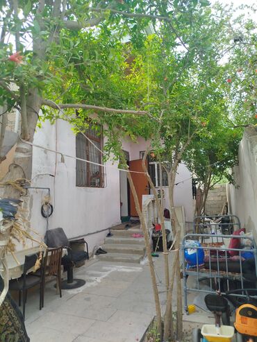 evlerin alqi satqisi xacmaz kirayesi: 3 otaqlı, 65 kv. m, Kredit yoxdur, Yeni təmirli