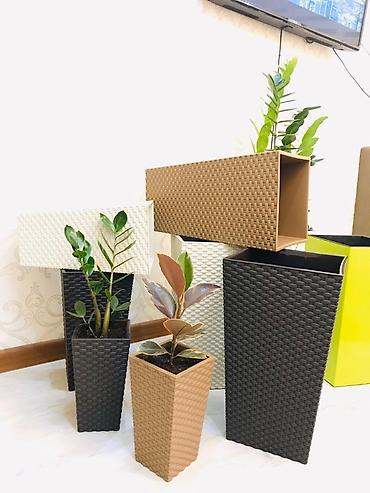 plants: Кашпо для цветов, Цветочные горшки Объем разные Производство — 4