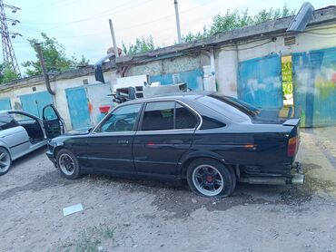 авто бафер: BMW 5 series: 1993 г., 4 л, Механика, Бензин, Седан