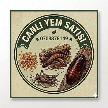 taxta qurdu: Canlı yem satışı – sürünənlər, amfibiyalar, quşlar və akvarium — 1