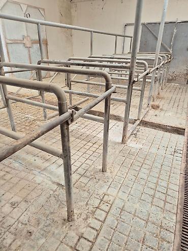 fermaya: Ferma mal saxlamaq üçün mükemmel bir yerdi erazisi böyük ve elave — 7