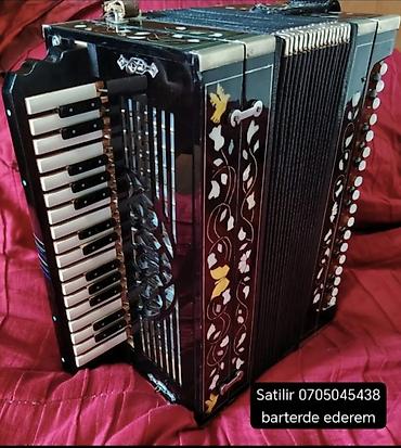 Akkordeonlar: Akustik Akkordeon, Yeni, Pulsuz çatdırılma — 1