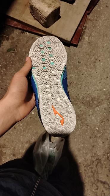 cort: Joma Top-Flex futzal ayaqqabısı - Model: Joma Top-Flex (arxa hissədə — 2