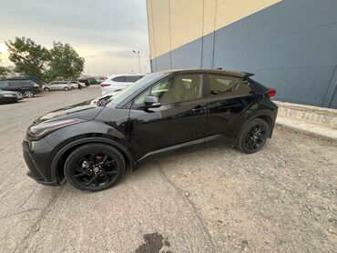 домкрат 210: Toyota C-HR: 2021 г., 2 л, Автомат, Бензин, Кроссовер