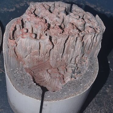 Katalizatorlar, səsboğucular: Katalizator yuksek qiymet alisi💰💰💰,,,ve yeni evro 4 komurlu — 8