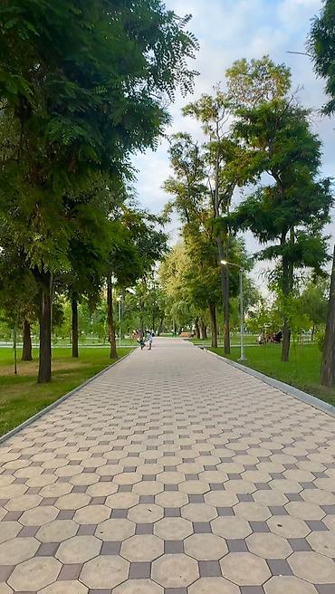 кв филармония: 1 комната, 38 м², ул. Тоголок Молдо / Щербакова Элитка, 3 этаж — 7
