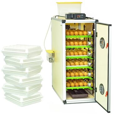 inkubator cuceleri: Çimuka firmasının 180ədədlik inkubatoru