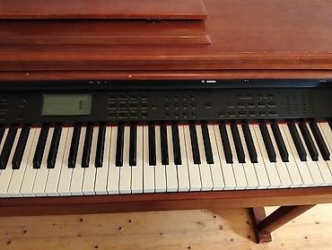 Клавишные инструменты: Steinbach rəqəmsal piano – klassik mebel korpusu ilə - Marka/model — 6