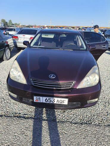 лексус rx 330 новый цена: Lexus ES: 2004 г., 3.3 л, Автомат, Бензин, Седан