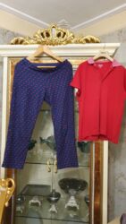 homm bitkisel azerbaycan giriş: Ml olcu