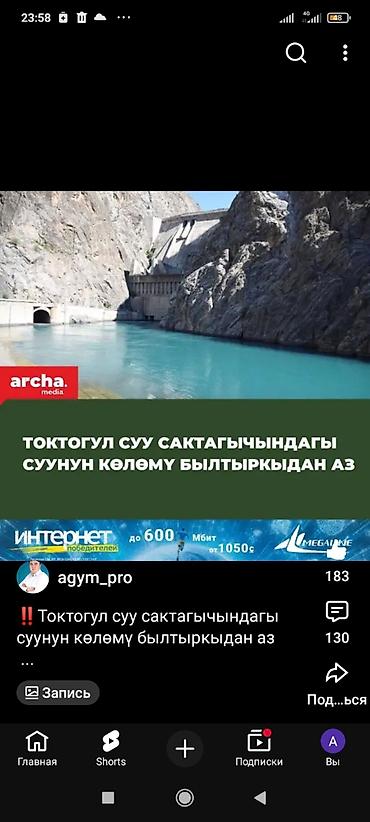 верблю: 400 сом. Төмөнкү Ала-Арча — 4