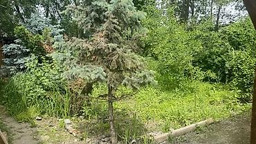 Продажа участков: 3 соток, Для строительства — 5