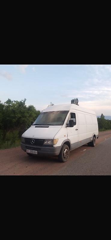 купить мерс с: Mercedes-Benz Sprinter фургон (длинная база, 29 тд мотор майичпет — 1