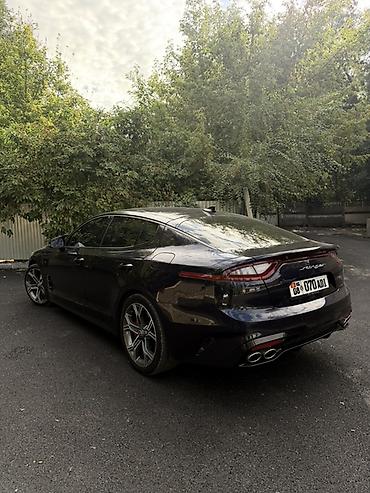 перекурить авто: Kia Stinger: 2020 г., 2 л, Автомат, Бензин, Фастбек — 3