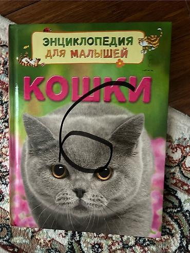 черный кот: Uşaq ensiklopediyası – “Pişiklər” (rus dilində) - Seriya — 1