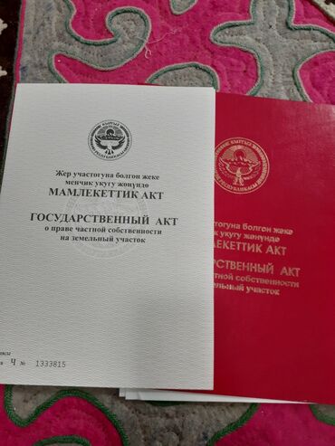 базар коргон жер: 4 соток, Курулуш, Кызыл китеп, Сатып алуу-сатуу келишими