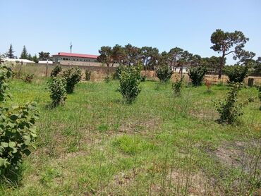 Torpaq sahələrinin satışı: 8 sot, Tikinti, Mülkiyyətçi, Texniki pasport — 7