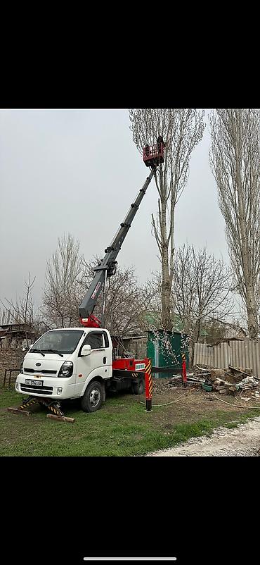 Услуги автокрана: Стрела 28 м, 200 т — 30