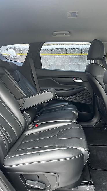 Hyundai: Hyundai Santa Fe: 2020 г., 2.2 л, Автомат, Дизель, Кроссовер — 10