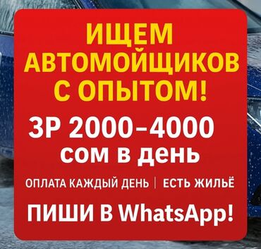 я ищу работу на дом: Требуется Автомойщик, Оплата Ежедневно, Процент от дохода, Без опыта