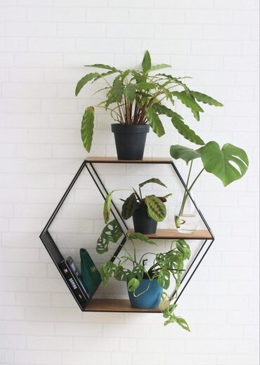 Полки для цветов: Полка для цветов, Новый, Железо, Самовывоз, Платная доставка — 12