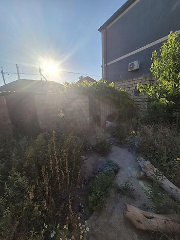 torpaq kreditle: 17 sot, Tikinti, Maklerlər narahat etməsin, Kupça (Çıxarış) — 9