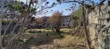 Torpaq sahələrinin satışı: 6 sot, Biznes üçün, Mülkiyyətçi — 5