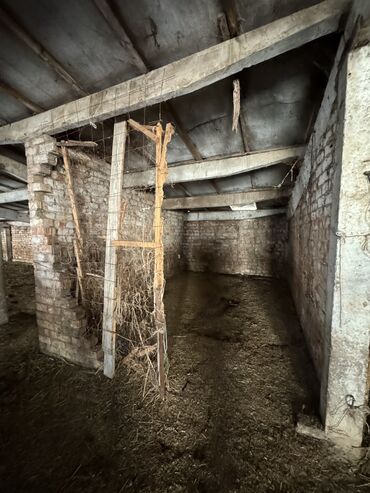 Сельхоз предприятия: Продаю Кошара, 130 соток, Действующий, Частично с оборудованием, Электричество, Канализация, Отопление — 18