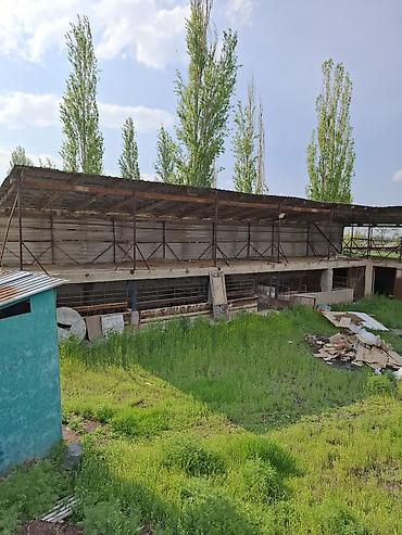 Farm КРС, 418 соток, Не действующий, Без оборудования, Холодная вода, Электричество