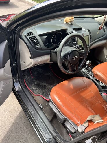 Kia: Kia Cerato: 2 l | 2011 il Sedan — 17