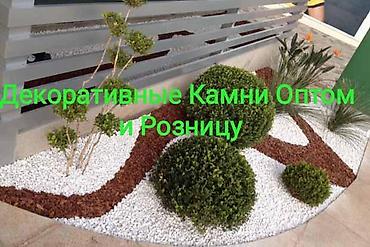 Галька: Декоративные камни оптом и в розницу Ландшафтный дизайн - это — 7