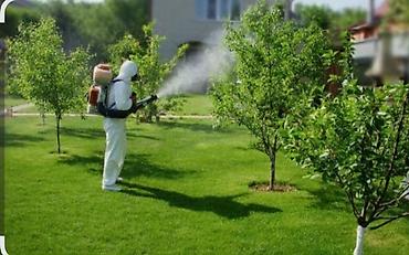 Опрыскиватели: Опрыскиватель Ранцевый — 9