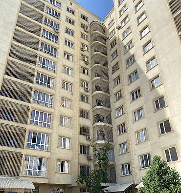 12: 3 комнаты, 97 м², Кок-Жар мкр Элитка, 3 этаж, Евроремонт — 5