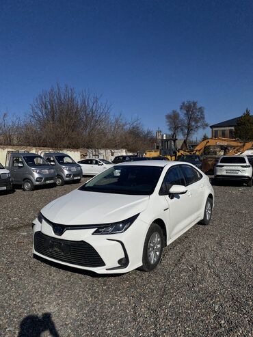 tayota sprinter: Toyota Corolla: 2021 г., 1.8 л, Типтроник, Гибрид, Седан