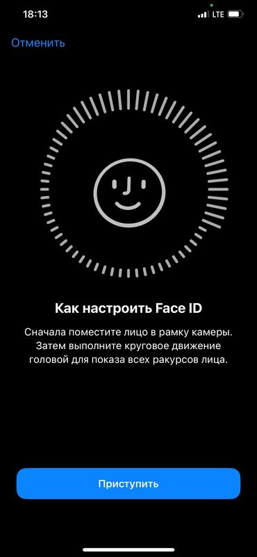 Apple iPhone: IPhone 11 Pro Max, Б/у, 256 ГБ, Зарядное устройство