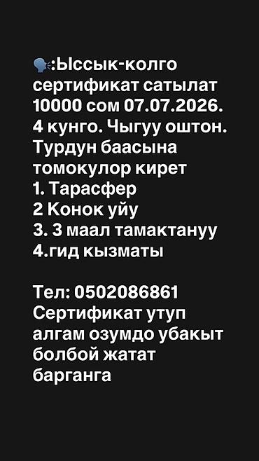 surf 185: Туристический сертификат на поездку на Иссык‑Куль - Дата: 07.07.2026 — 1