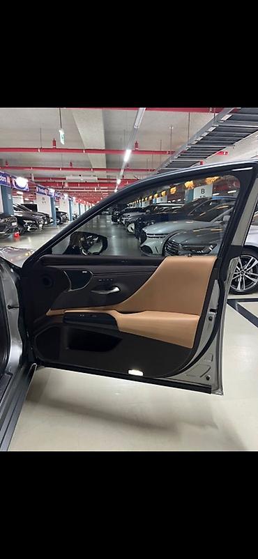 Lexus: Lexus ES: 2019 г., Седан — 17