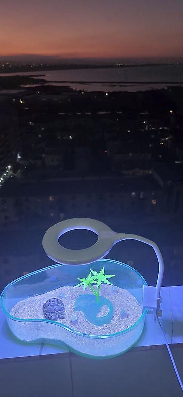 su quşu adları: Mini tısbağa üçün dekorativ akvaterrarium və LED masa lampası dəsti - — 1