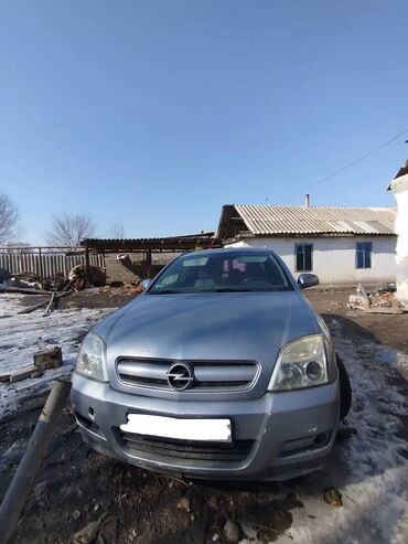 купить запчасти на опель вектра б: Opel Signum: 2003 г., 3.2 л, Механика, Бензин, Хэтчбэк