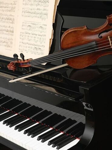 пианино курс: Уроки игры на скрипке | С выездом на дом