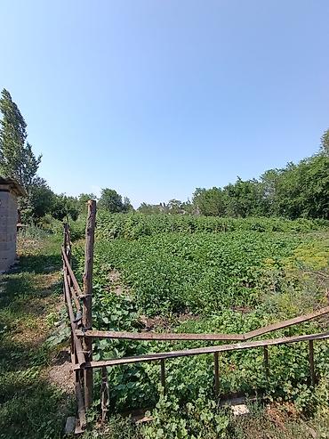 Продажа коттеджей и домов: 📌В центре Беловодское продается добротный дом из 5-ти комнат на — 9