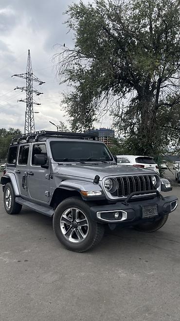 жыпы: Jeep Wrangler: 2019 г., Автомат, Бензин, Внедорожник — 1