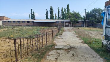 срочно продаю участок газ канализация есть: Сатам Кой короо, 20 соток, Иштеп жаткан, Жабдууларсыз, Электр энергиясы, Скважина, Муздак суу