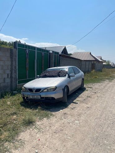 приматок прямоток: Седан Nissan Primera серебристого цвета с правым рулем, который