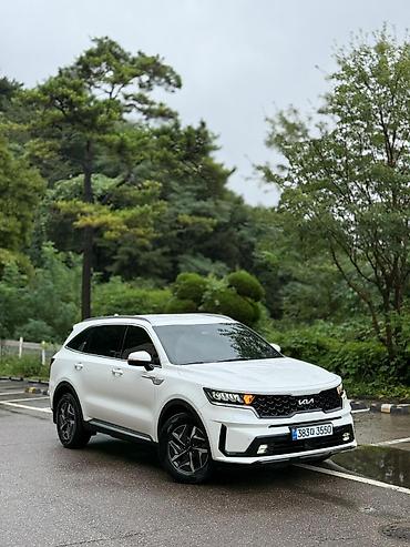 высокие машины: Kia Sorento: 2022 г., 1.6 л, Автомат, Гибрид, Кроссовер — 1