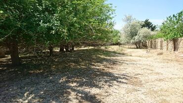 Torpaq sahələrinin satışı: 25 sot, Tikinti, Makler, Kupça (Çıxarış) -da lalafo.az — 8 Torpaq sahələrinin satışı: 25 sot, Tikinti, Makler, Kupça (Çıxarış) — 8