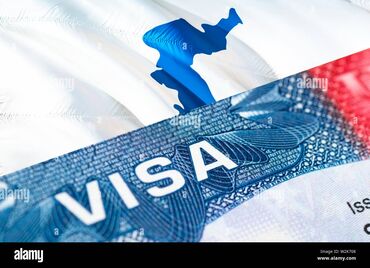 Другие услуги: Work Visa Assistance for Kyrgyzstan Need help getting a work visa? I
