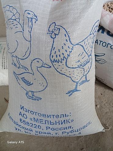 коровы для молоко: Комбикорм гранулированный для сельскохозяйственной птицы,КРС, МРС и — 3